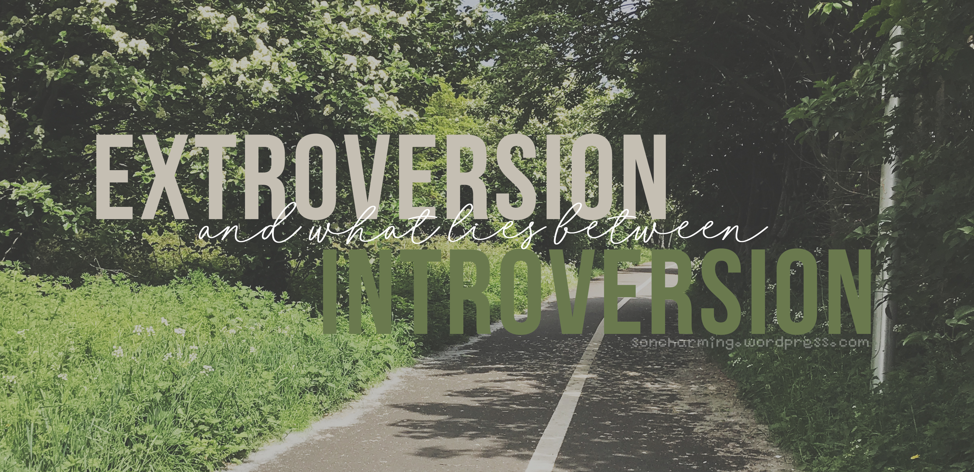 Extrovert Introvert